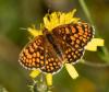 318354 – Photo : lguez – France (73)