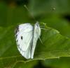 318480 – Photo : lguez – France (12)