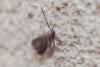 318281 – Photo : BourrinOman – France (83)