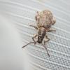 318584 – Photo : Raphaël Grellety – France (34)