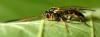 319703 – Photo : Arthropa - Benoit Martha – France (21)