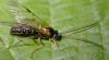 319702 – Photo : Arthropa - Benoit Martha – France (21)