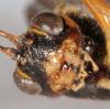 319704 – Photo : Arthropa - Benoit Martha – France (21)