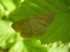 32526 – Photo : JCH – France (55)