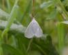 32132 – Photo : Thierry Darmuzey – France (13)