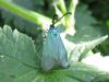 32031 – Photo : jeromebubu – France (81)