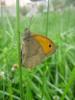 32080 – Photo : Jeremie Fevrier – France (11)
