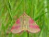 32030 – Photo : jeromebubu – France (81)