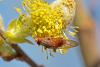320765 – Photo : Pierre Duhem – France (95)