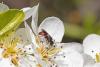 320766 – Photo : Pierre Duhem – France (95)