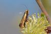 320940 – Photo : Pierre Duhem – France (95)