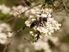 320387 – Photo : morgane sineau – France (72)