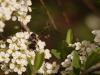 320389 – Photo : morgane sineau – France (72)