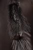 320034 – Photo : Christophe Pellé – France (30)