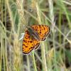 321171 – Photo : Paskina – France (24)