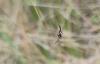 321746 – Photo : Valentin SENDAT – France (34)
