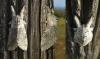 321588 – Photo : Guillaume Paulus – France (13)