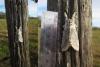 321586 – Photo : Guillaume Paulus – France (13)