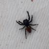321304 – Photo : Mathurin CARNET – France (58)