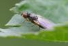 321568 – Photo : Didier Houbrechts – Belgique