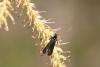 321340 – Photo : Pierre Duhem – France (95)