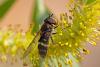 321348 – Photo : Pierre Duhem – France (95)