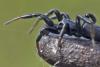 321399 – Photo : Eugène Vandebeulque – France (45)