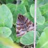 321697 – Photo : Mathurin CARNET – France (58)