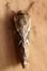 321831 – Photo : Mathurin CARNET – France (58)
