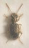 321045 – Photo : Flavien Cabon – France (31)