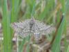 321261 – Photo : Jean-Jacques PORTENEUVE – France (83)