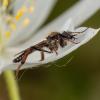 321852 – Photo : Cédric Mondy – France (94)