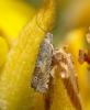 321016 – Photo : Alexandre Renou – France (49)