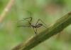 321010 – Photo : Anonyme – Mayotte