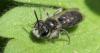 321331 – Photo : Olivier Pouvreau – France (86)