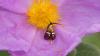 322071 – Photo : florent besson – France (83)