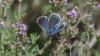 322489 – Photo : florent besson – France (83)