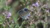 322490 – Photo : florent besson – France (83)