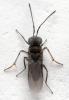 322688 – Photo : André Burgers – Espagne