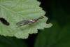 322284 – Photo : Michel Renou – France (91)