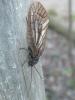 322737 – Photo : Bobabar – France (41)