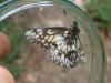 322852 – Photo : vincent thary – Costa Rica