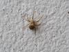 322063 – Photo : Sloan Benay-Fumadelles – France (33)