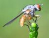 322470 – Photo : Jean-Michel GAREL – France (89)