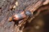 322091 – Photo : Christian Berquer – France (05)