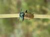 323482 – Photo : Gould24 – France (24)