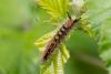 323705 – Photo : Pierre Duhem – France (11)
