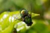 323828 – Photo : Pierre Duhem – France (75)