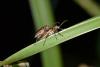 323375 – Photo : Nataël Adam – France (10)