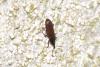 323251 – Photo : Nataël Adam – France (10)